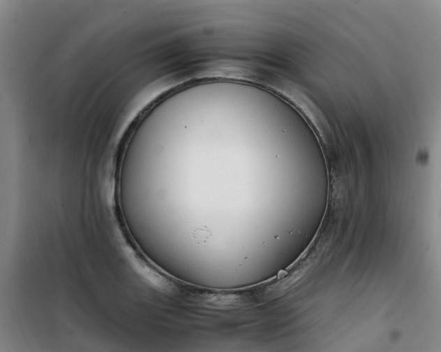 X0000101171131200807111046