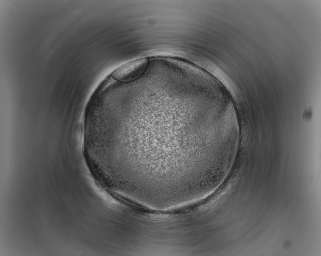 X0000101171132200807111046