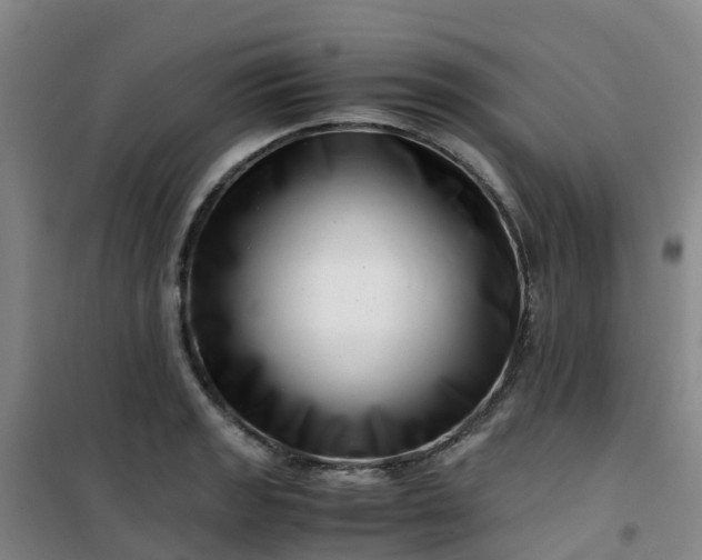 X0000101171133200807111046