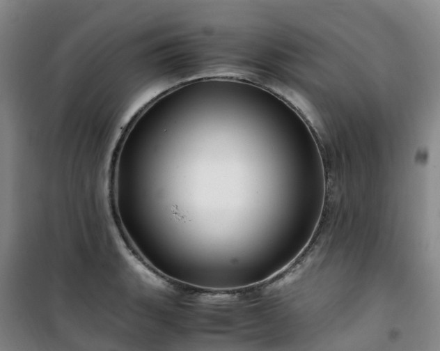 X0000101171135200807111046