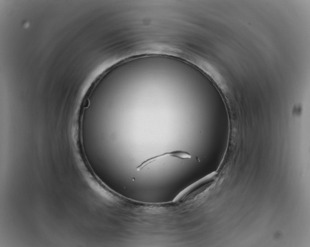 X0000101171136200807111046
