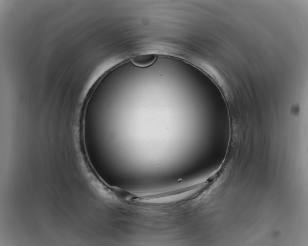 X0000101171138200807111046