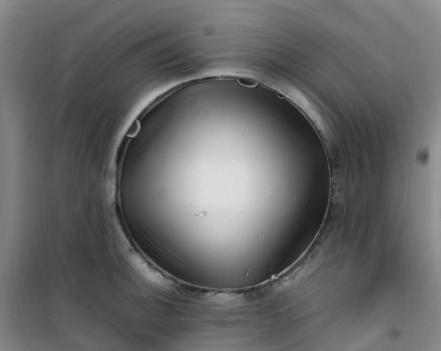 X0000101171140200807111046