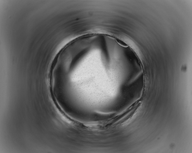 X0000101171141200807111046