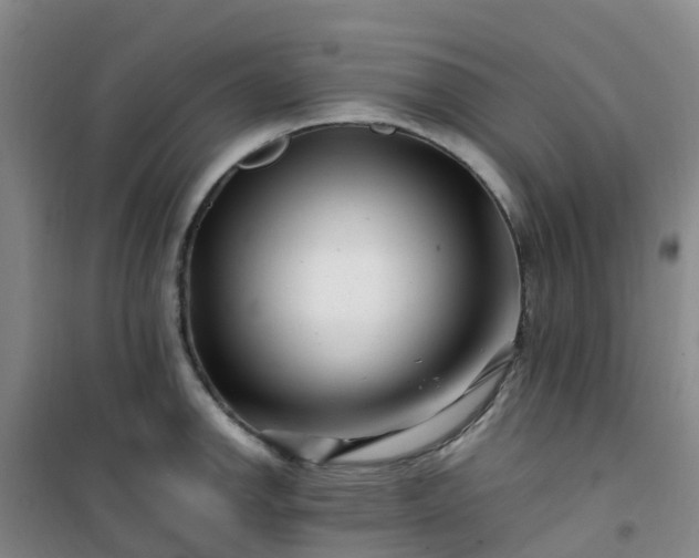 X0000101171142200807111046