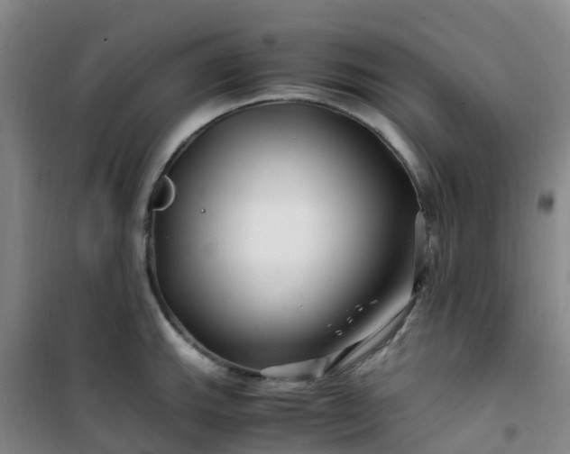 X0000101171143200807111046