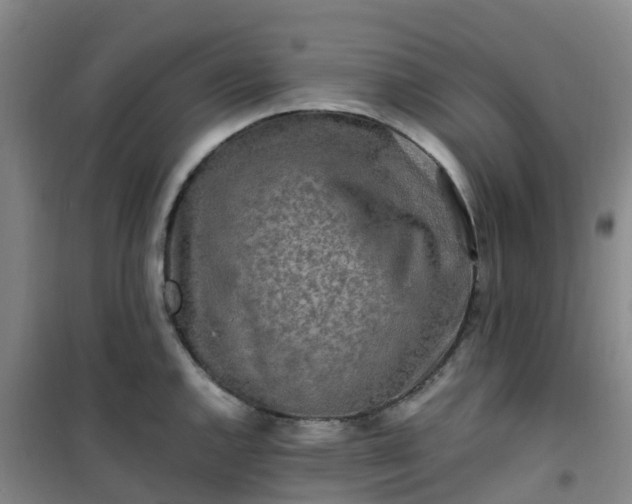 X0000101171144200807111046