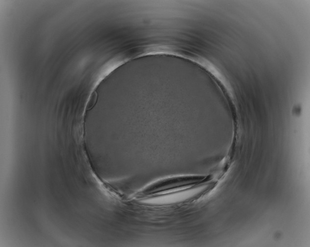 X0000101171145200807111046