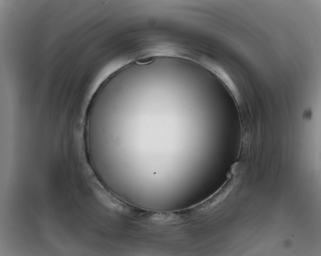 X0000101171146200807111046