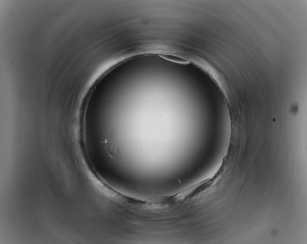 X0000101171147200807111046
