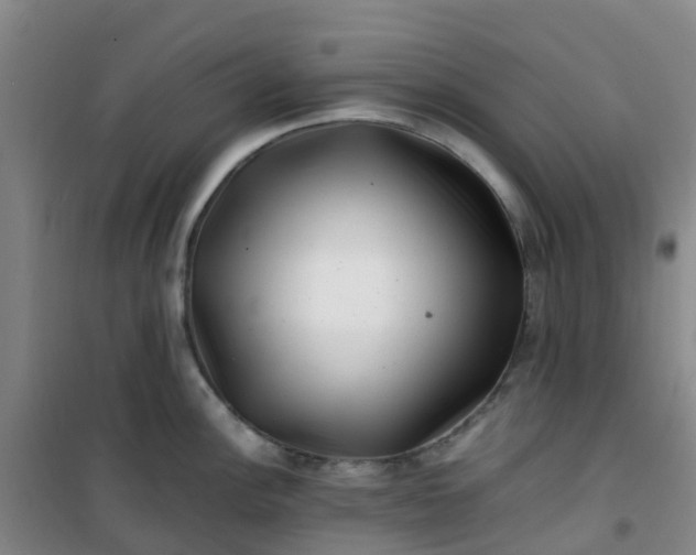 X0000101171148200807111046