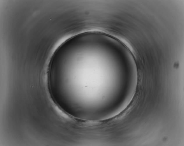 X0000101171151200807111046