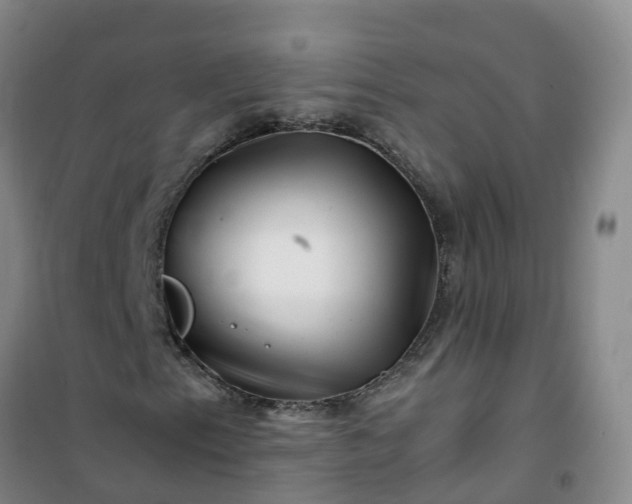 X0000101171153200807111045