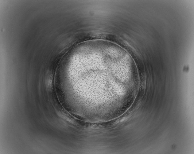 X0000101171154200807111045