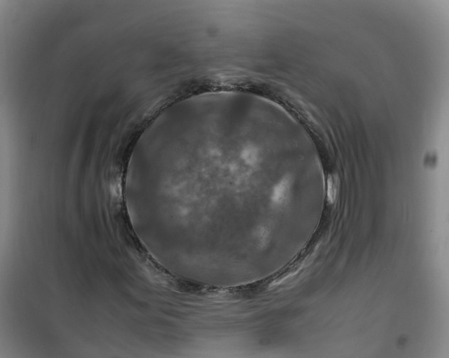 X0000101171155200807111045