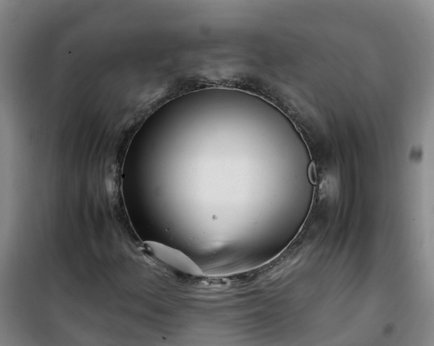 X0000101171156200807111045