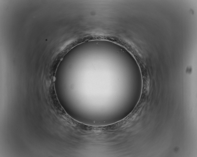 X0000101171157200807111045