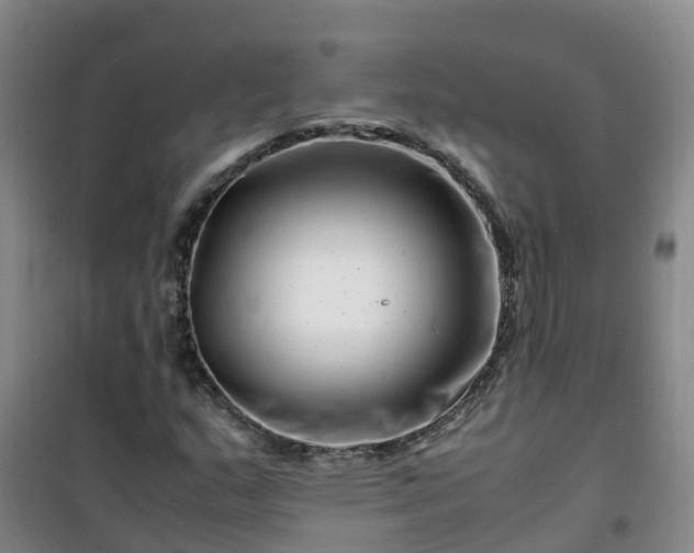 X0000101171159200807111045