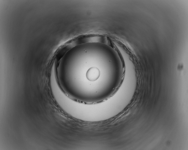 X0000101171160200807111045