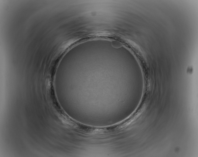 X0000101171161200807111045