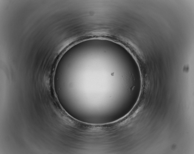 X0000101171162200807111045
