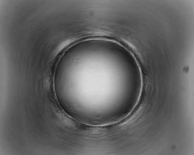 X0000101171163200807111045
