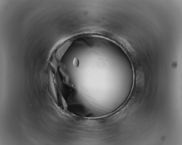 X0000101171164200807111045