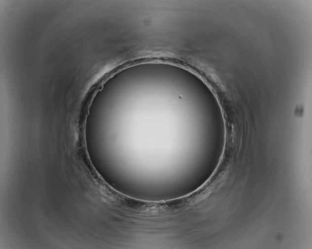 X0000101171165200807111045