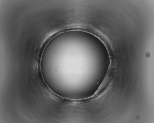 X0000101171166200807111045