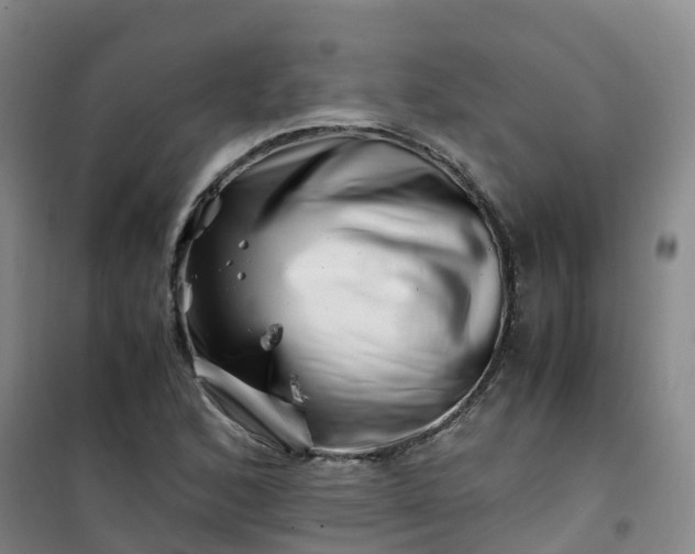 X0000101171168200807111045