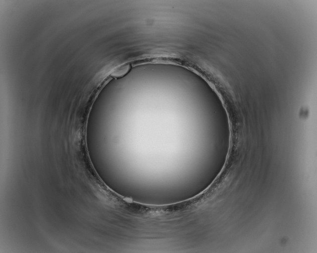 X0000101171169200807111045