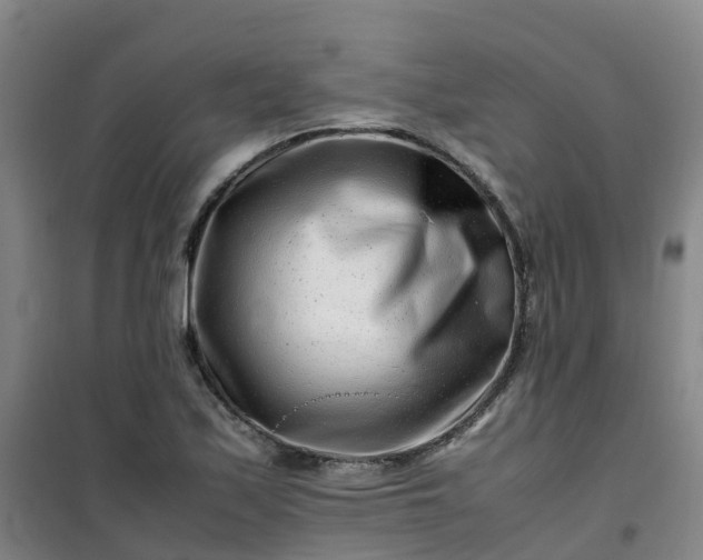 X0000101171171200807111045