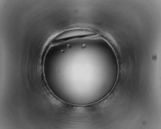 X0000101171172200807111045