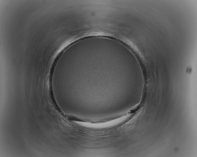 X0000101171173200807111045