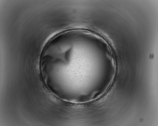 X0000101171174200807111045