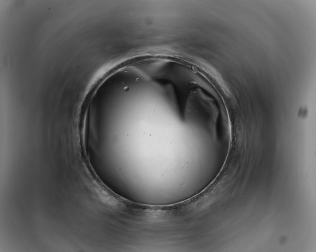 X0000101171176200807111045