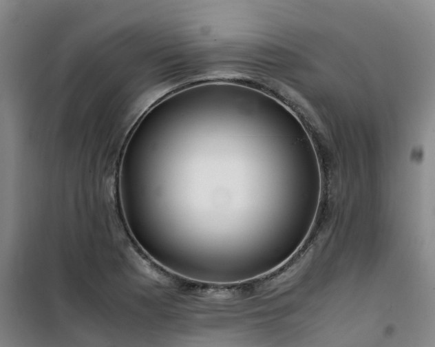 X0000101171177200807111045
