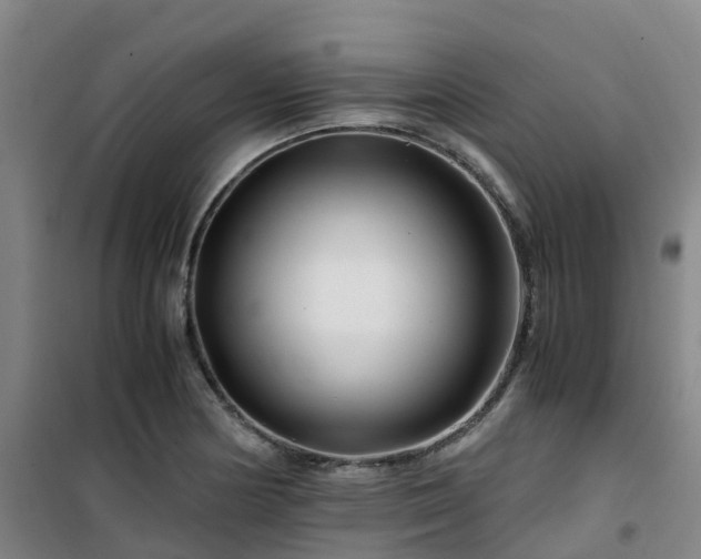 X0000101171178200807111045