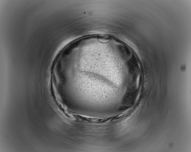 X0000101171179200807111045