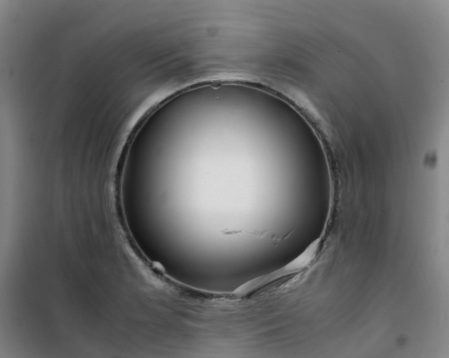 X0000101171181200807111045