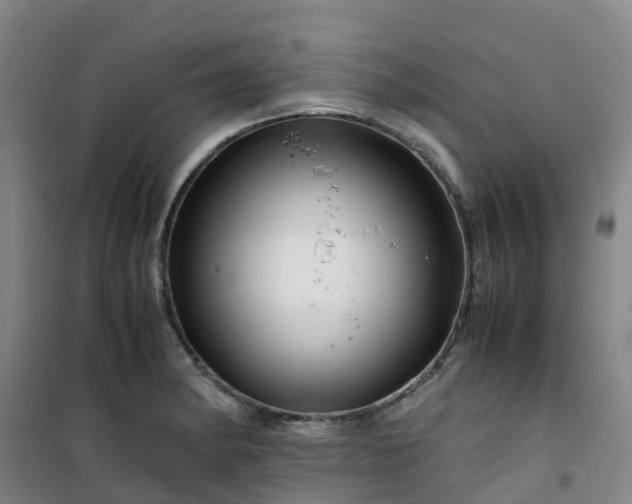 X0000101171182200807111045