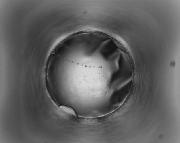 X0000101171183200807111045