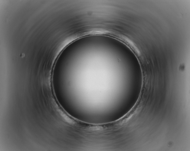 X0000101171186200807111045