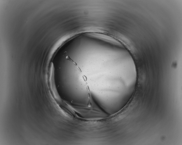 X0000101171188200807111045