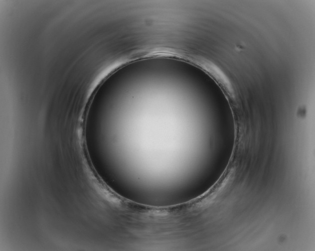 X0000101171190200807111045