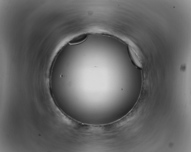 X0000101171191200807111045