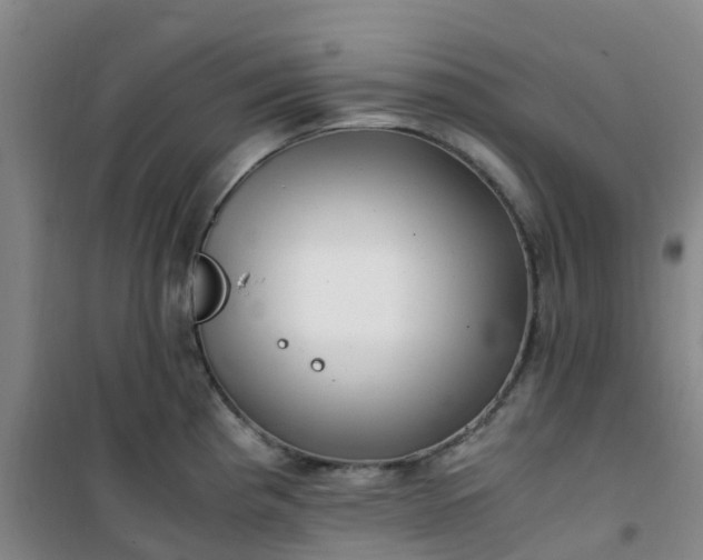 X0000101171193200807111045