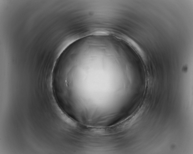 X0000101171194200807111045