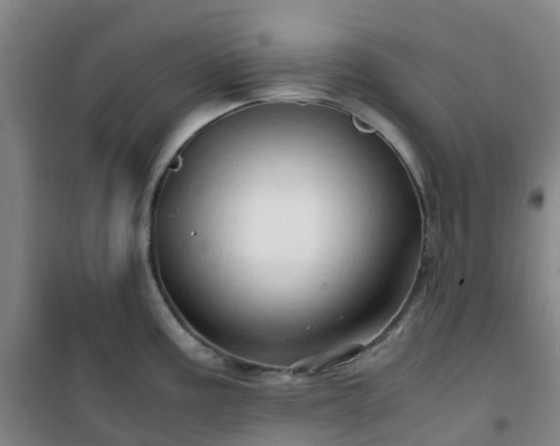 X0000101171195200807111045