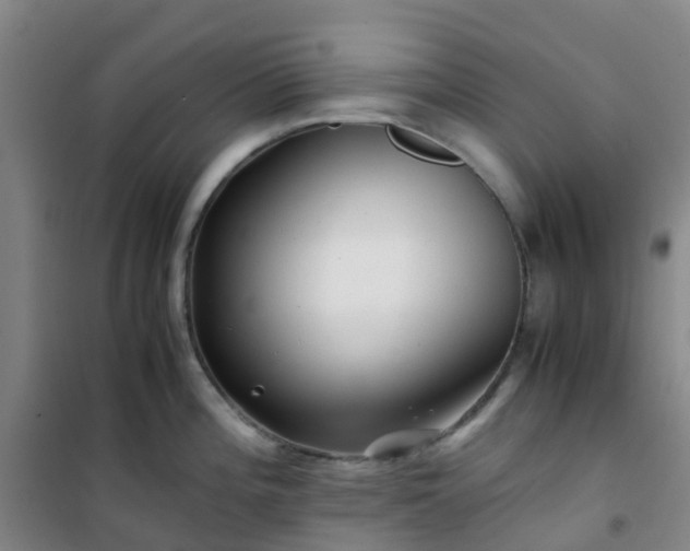 X0000101171196200807111045